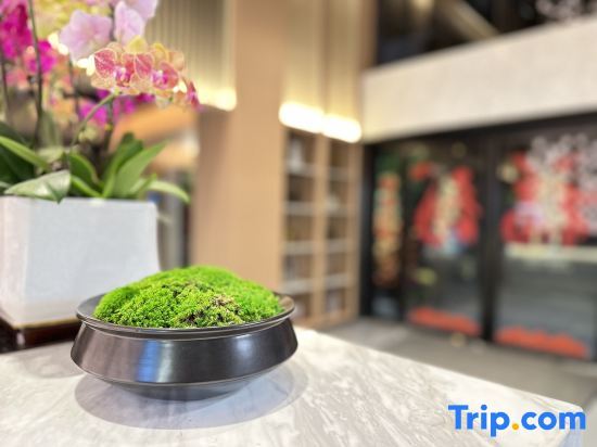 Гуанчжоу: Guangzhou Xianle Select Hotel (Baiyun Avenue Beiyongtai Metro Station)