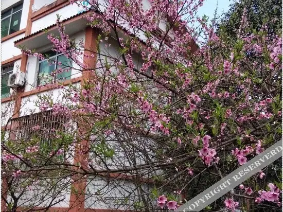 Чунцин: 重庆星宿丽景酒店