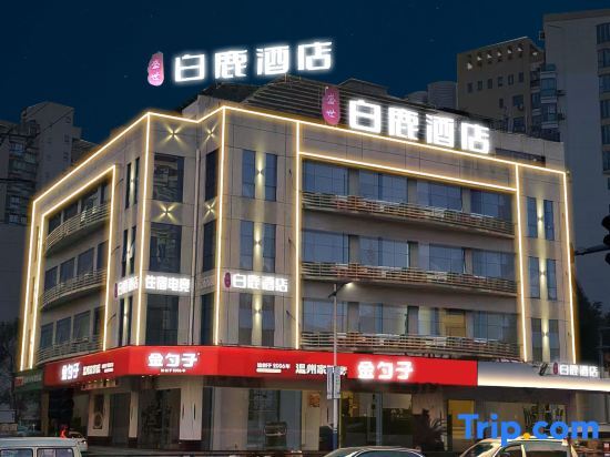 Вэньчжоу: Wenzhou Bailu Hotel