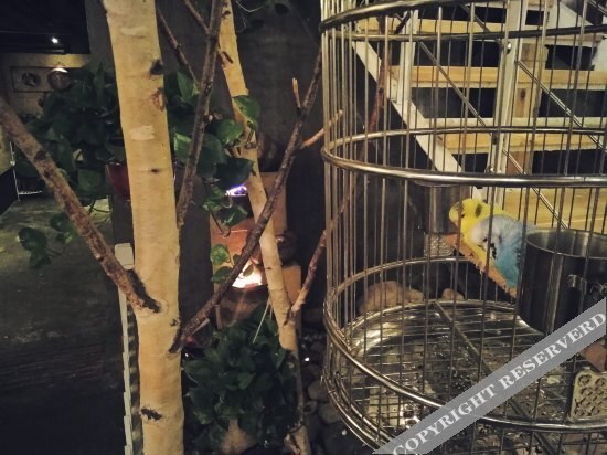 Пекин: Childhood Holiday Inn (Beijing Capital International Airport Xinguozhan Branch)