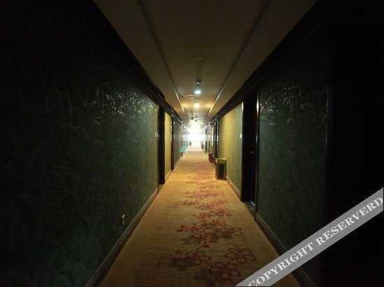 Чэнду: Ziyouke Grand Hotel