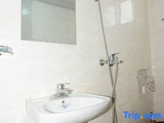 Шанхай: Wangxing Hotel