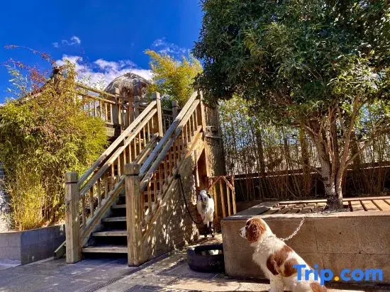 Лицзян: Mountains and Seas Ten Years Starry Sky Garden Homestay, Xiyuan, Snow Mountain Observatory