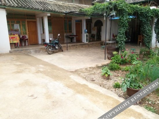 Дали: Qingxin Inn