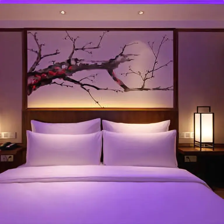 Чунцин: Domo Hotel