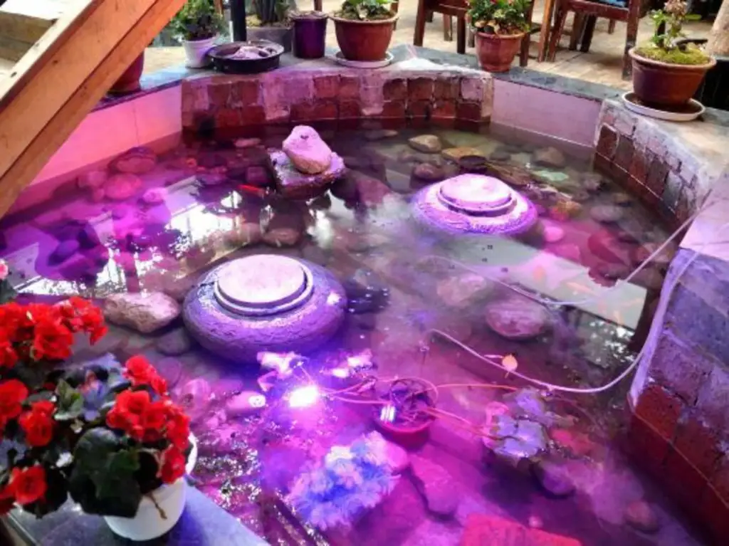 Дали: Bingdao Huayue Inn