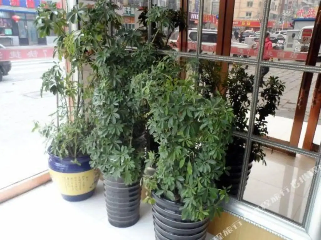 Далянь: Su 7 Hotel (Dalian Xinghaiwan Branch)