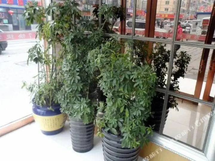 Далянь: Su 7 Hotel (Dalian Xinghaiwan Branch)