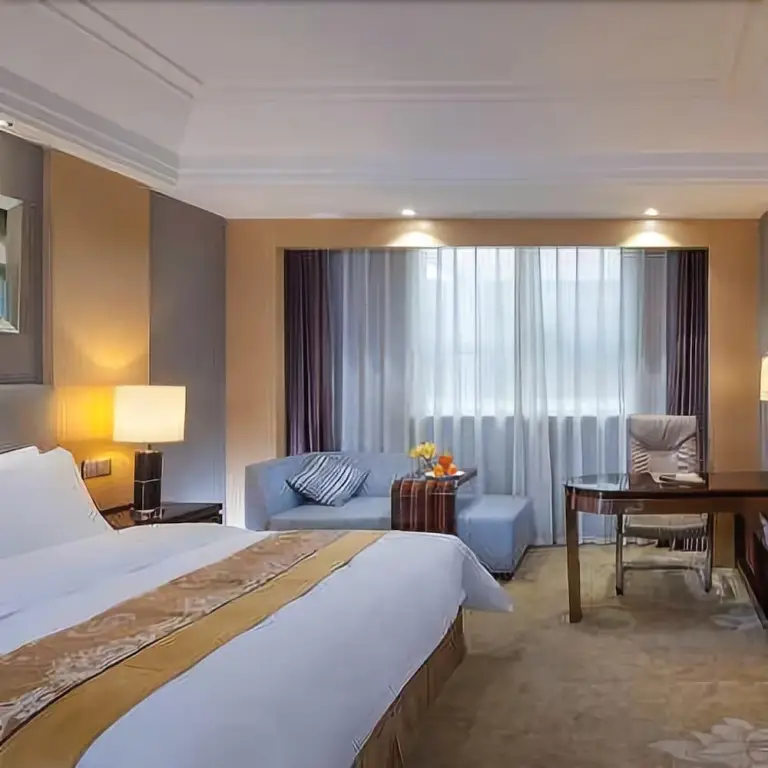 Чжэнчжоу: Vienna Hotel