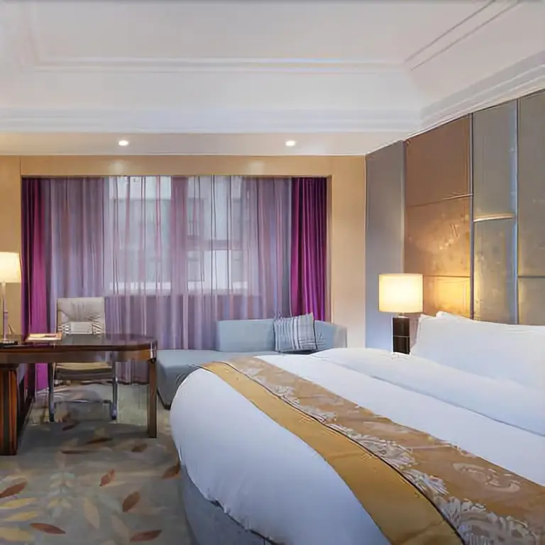 Чжэнчжоу: Vienna Hotel