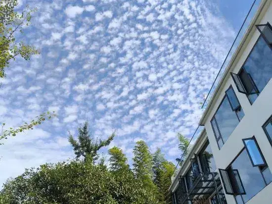 Чунцин: Chongqing Chashan Bamboo Sea Zhuliang Mountain View Homestay