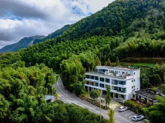 Чунцин: Chongqing Chashan Bamboo Sea Zhuliang Mountain View Homestay