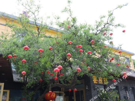 Тяньцзинь: Longxisheng