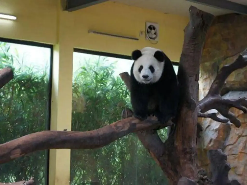 Гуанчжоу: Lian Xing Hotel