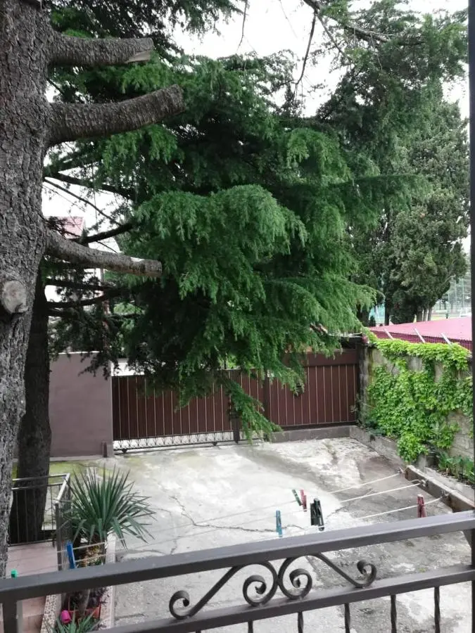 Адлер: Zorka Guest House