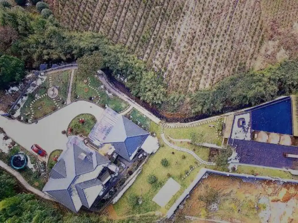 Хучжоу: Mount Mogan Wild Extravagance (Boutique Homestay)