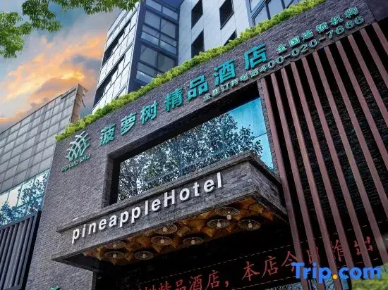 Линьи: Pineapple Hotel