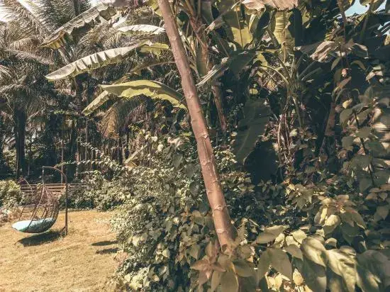 Санья: Sanya Neighborhood Return to Nature Homestay (Haitang Bay Duty Free City Branch)