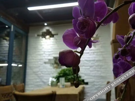 Ханчжоу: 杭州芝宅园民宿