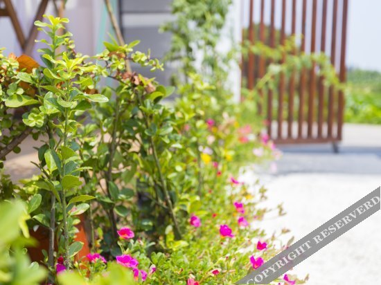 Шанхай: Shanghai yunshuiyao boutique B & B