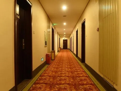 Шэньчжэнь: GreenTree Inn Guangdong Shenzhen Baoan District Shajinshiming Square B