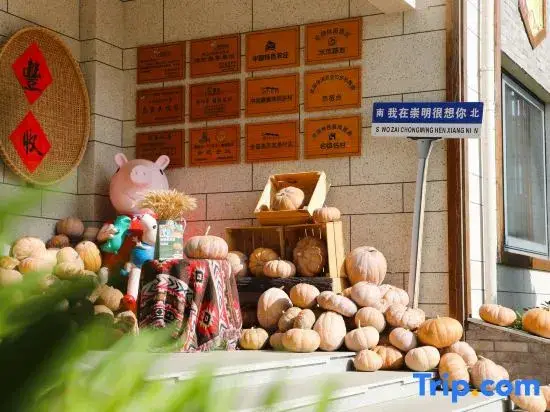 Шанхай: Yingdong Resort