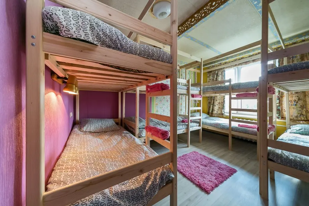 Москва: Crazy Monkey Hostel next to the Moscow Zoo