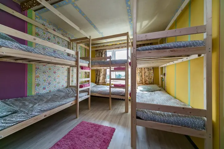 Москва: Crazy Monkey Hostel next to the Moscow Zoo