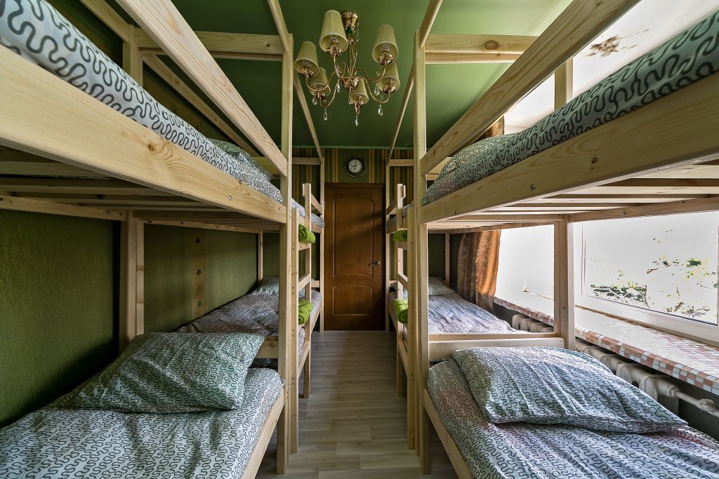 Москва: Crazy Monkey Hostel next to the Moscow Zoo