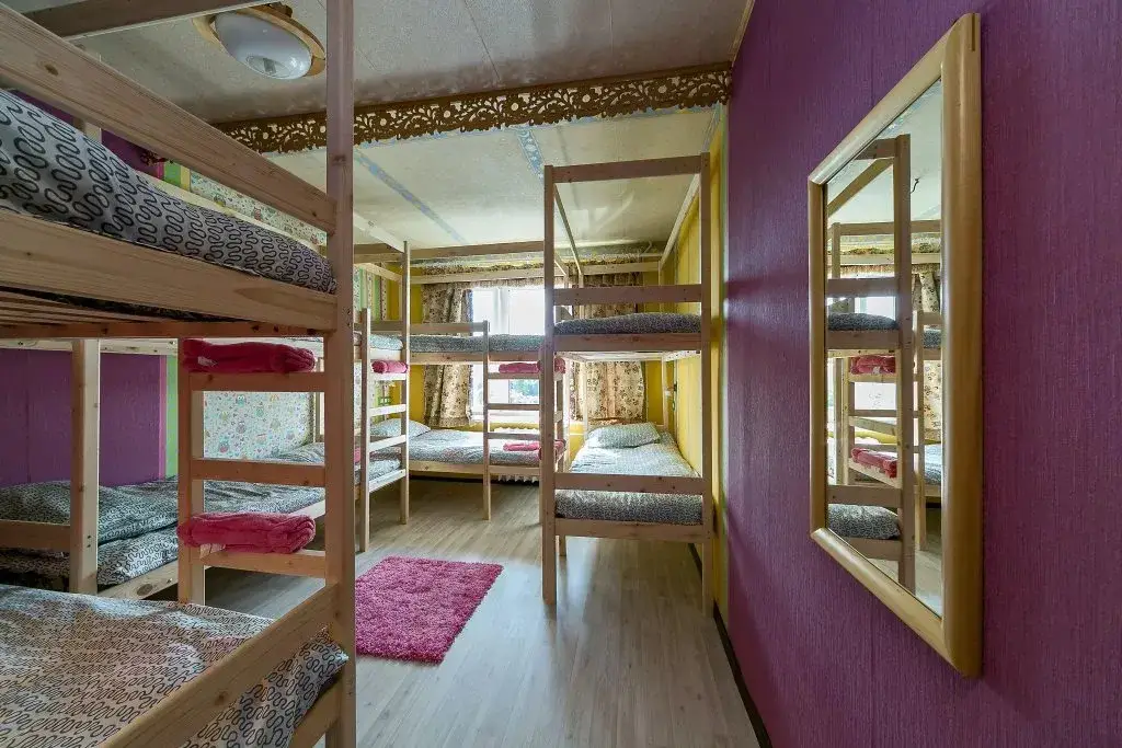 Москва: Crazy Monkey Hostel next to the Moscow Zoo