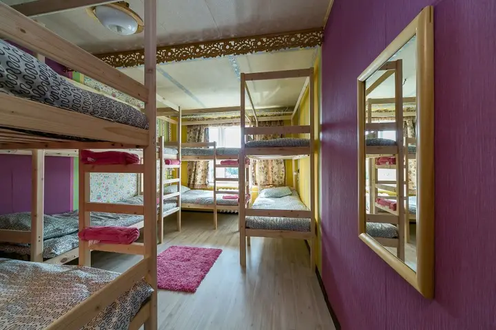 Москва: Crazy Monkey Hostel next to the Moscow Zoo