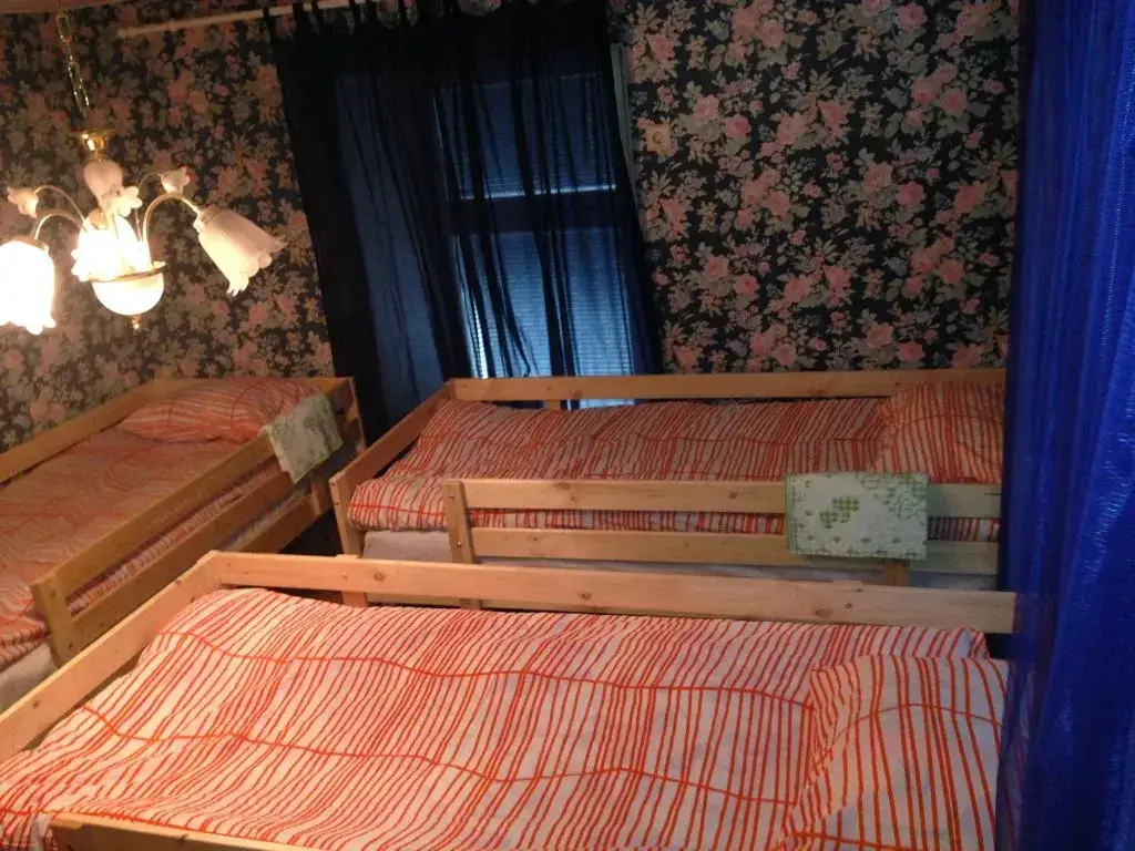 Москва: Moscow Hostel on Bogoslovsky