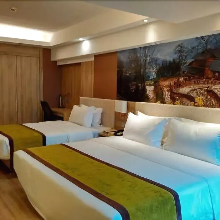 Чэнду: Manso Hotel