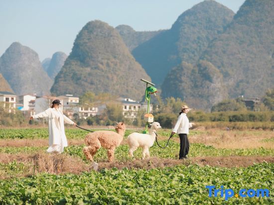 Яншо: Yueshan Yushui Holiday Homestay (Yangshuo Yulonghe Tourism Resort Xiayu Wharf Branch)