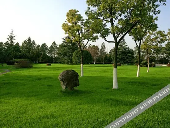 Наньчан: Riverside Guesthouse Jiangxi