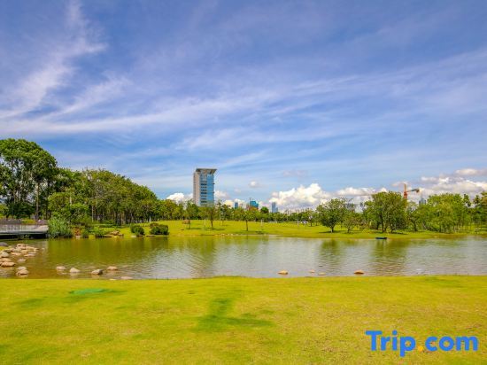 Шэньчжэнь: GreenTree Alliance Hotel (Jingtian Metro Station, Jingfa Garden Branch, Futian District, Shenzhen)