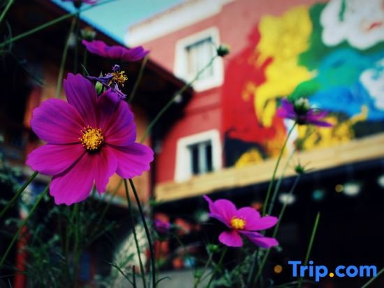 Цзючжайгоу: Jiuzhaigou Tibetan Barley Yododo Inn
