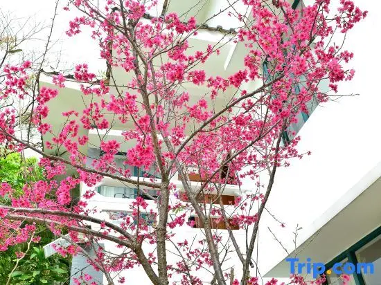 Гуанчжоу: Xixi Hot Spring Homestay
