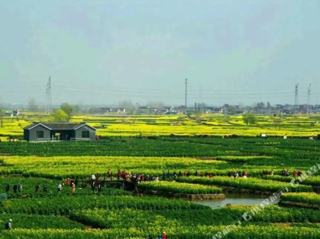 Тайчжоу: Qingmu Chain Hotel (Xinghua Zhengbanqiao Former Residence)