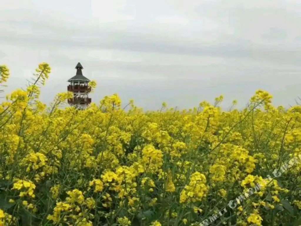 Тайчжоу: Qingmu Chain Hotel (Xinghua Zhengbanqiao Former Residence)
