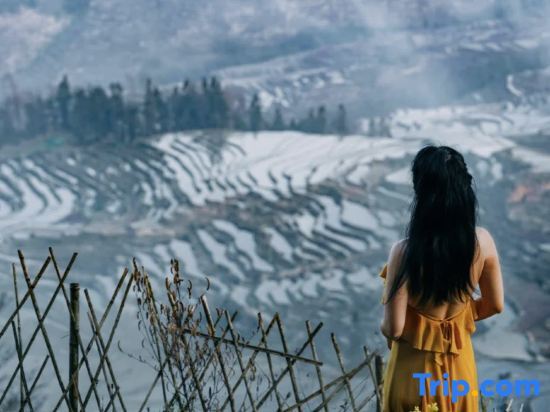 Хуанцаолинь: Yuanyang Huaweiwo No.2 Inn (Duoyishu Terraced Field Sunrise Inn)