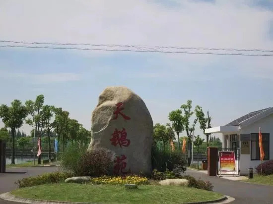Шанхай: Mingzhu Lake Swan Garden Resort