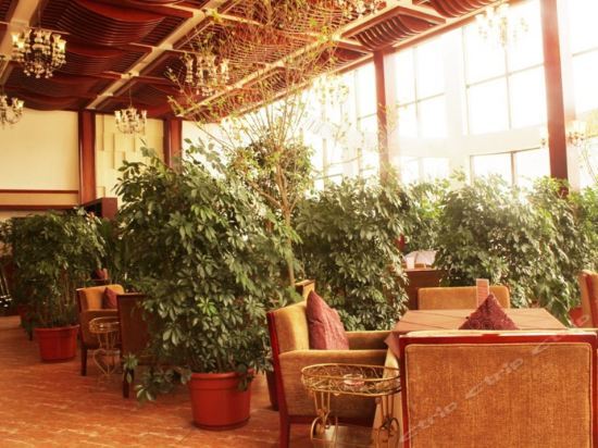Линжи: Meilin International Hotel