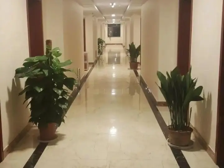 Линьи: Huanle Business Hotel