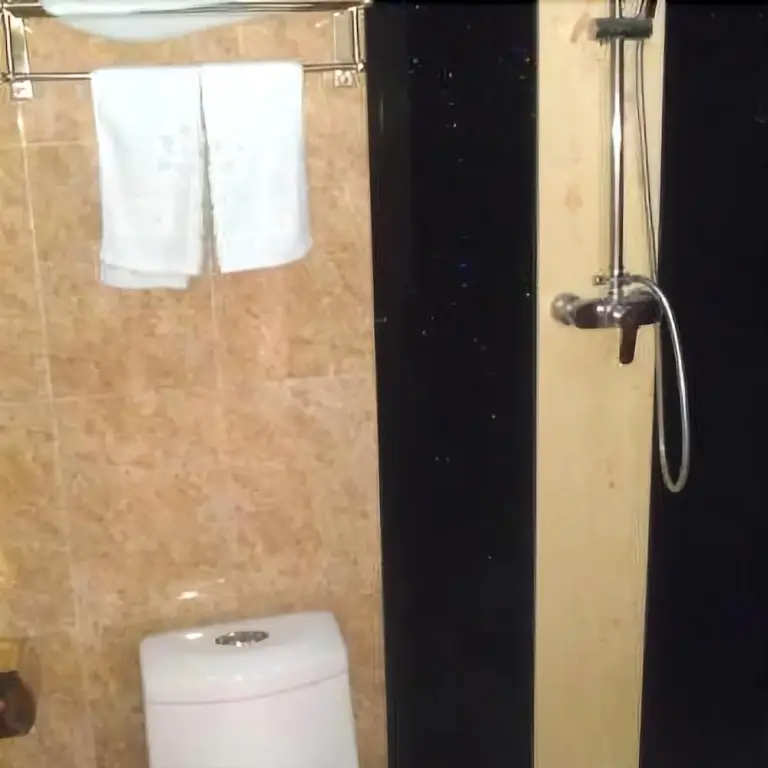 Циндао: Gelai Business Hotel