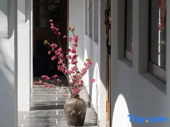 Дали: Dali Yunyou Holiday Homestay