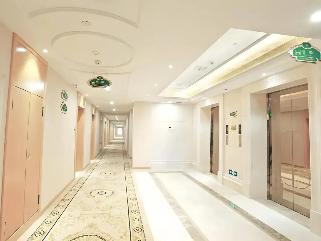 Нанкин: Vienna International Hotel (Nanjing Gaochun Metro Station)
