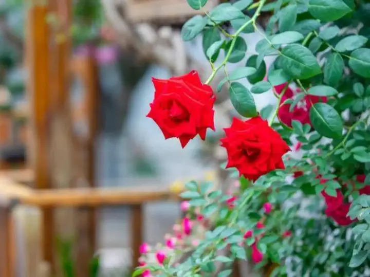 Шанхай: Zhouzhuang Ou Yu Jiangnan Hostel