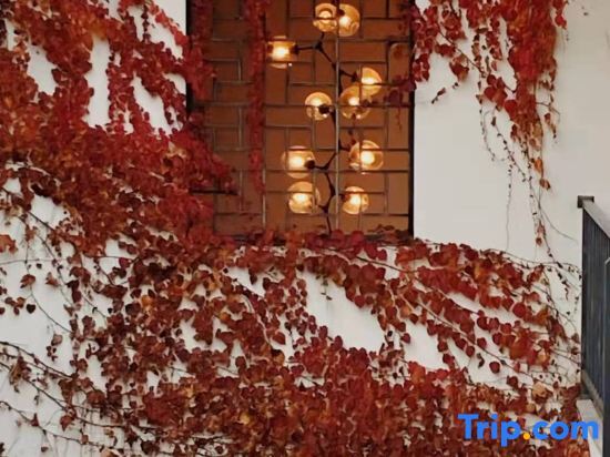 Чэнду: Xiangzhu Lilu Homestay (Jiezi Ancient Town Shop)