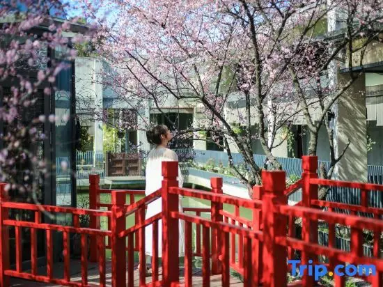 Ханчжоу: Hangzhou Shuimo Zhuang Private Home Forest Hotel (Chaoshan Scenic Area)